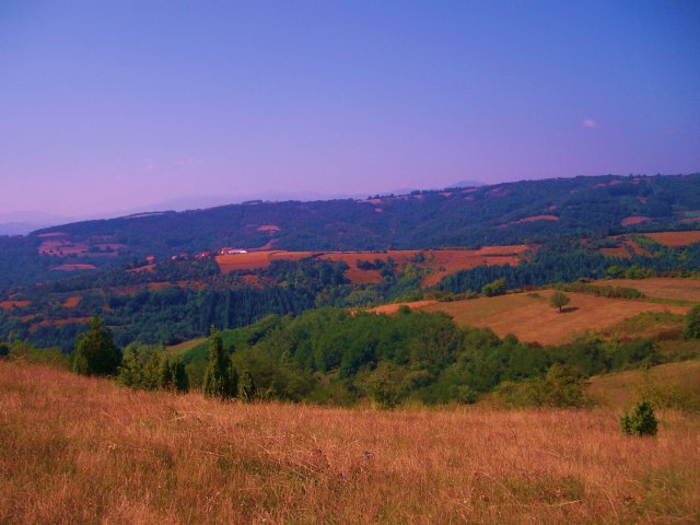 ALIM3020.JPG,  bytes